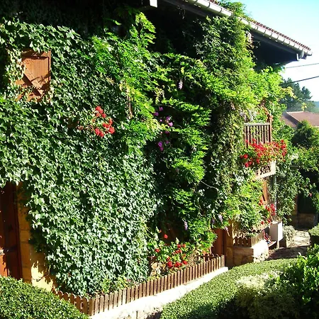 Caserio Areitz Soroa Casa de Férias Arce