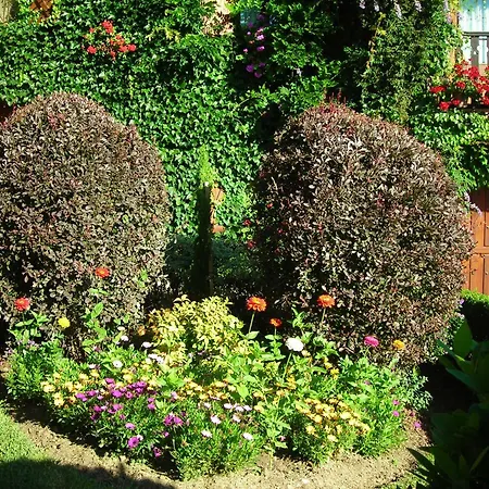 Casa de Férias Caserio Areitz Soroa Arce