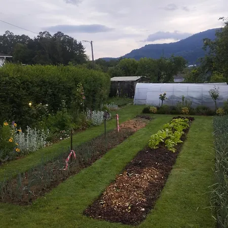 Caserio Areitz Soroa