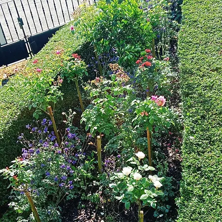 Caserio Areitz Soroa Casa de Férias Arce