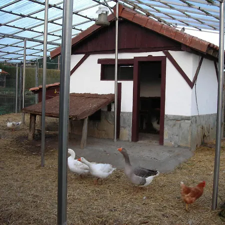 Hostel Areitz Soroa Arce