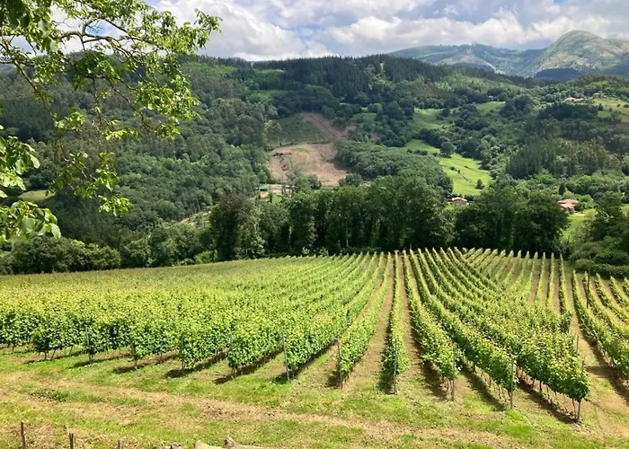 Caserio Areitz Soroa Дом отдыха *