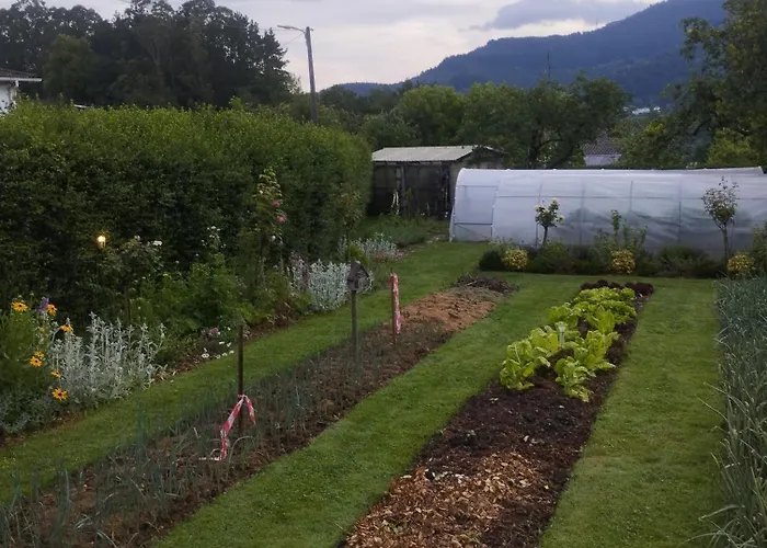 Caserio Areitz Soroa