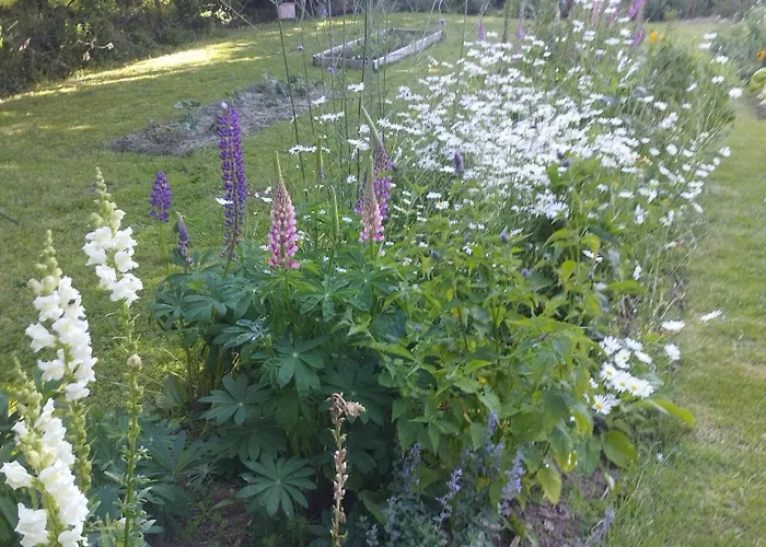 Дом отдыха Caserio Areitz Soroa