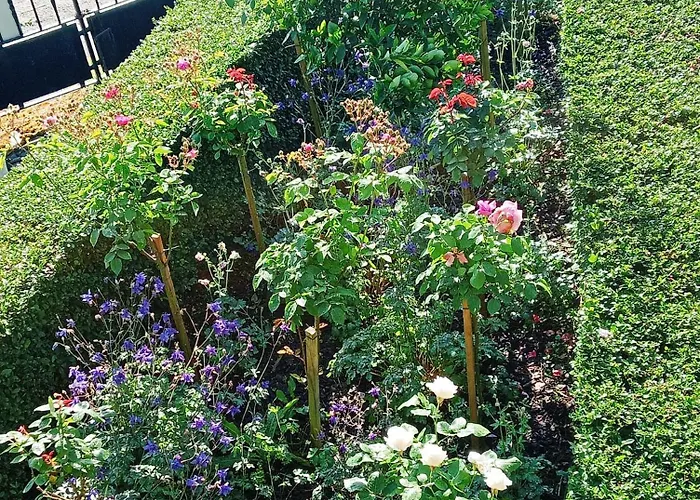 Caserio Areitz Soroa בית נופש Arce